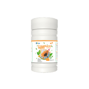 GYNAPHARM CAPSULE / Eradicates PID and Inflammation of the Ovaries / 72 Capsules